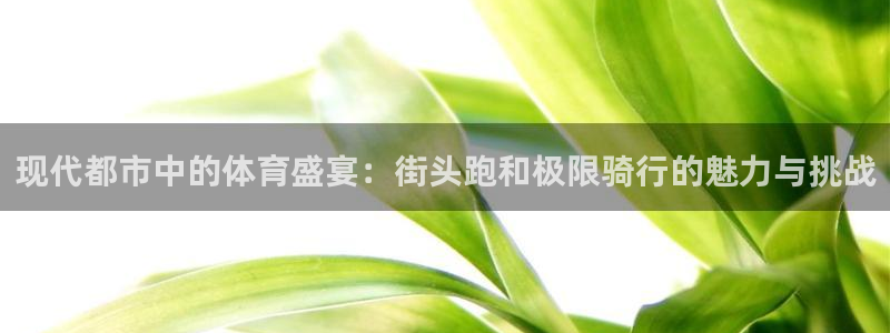 好博体育pg：现代都市中的体育盛宴：街头跑和极限骑行的魅力与挑战