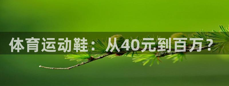 好博体育游戏官方入口：体育运动鞋：从40元到百万？