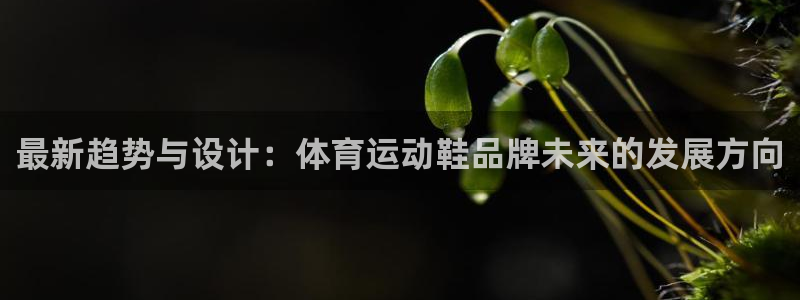 好博体育APP网页版：最新趋势与设计：体育运动鞋品牌未来的发展方向