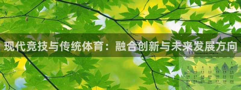 好博体育是黑台子吗：现代竞技与传统体育：融合创新与未来发展方向