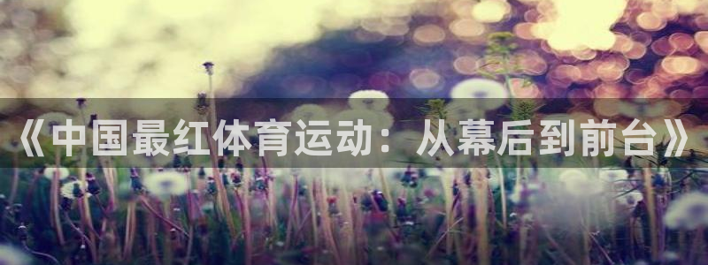 好博体育GD官网：《中国最红体育运动：从幕后到前台》